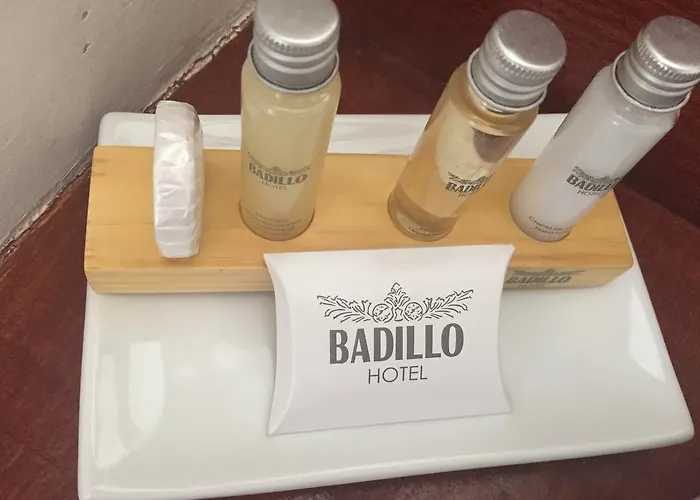 Badillo Zen Hotel