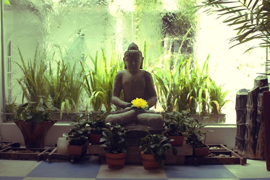 Badillo Zen 4* Cartagena