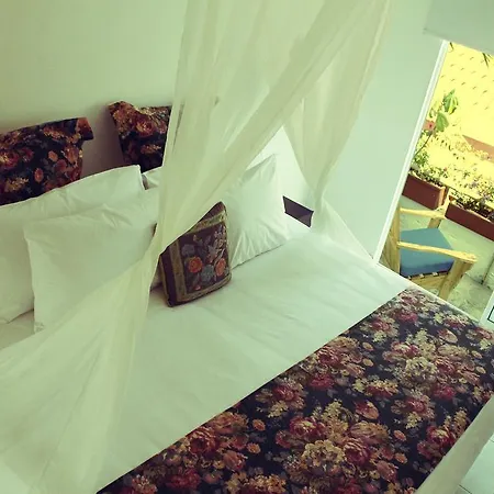 Badillo Zen Hotel